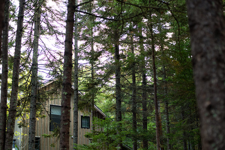 1 bedroom woodland view cottage
