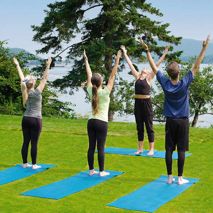 yoga on lawn in front of Somes Sound