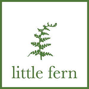 Little Fern logo